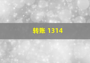 转账 1314